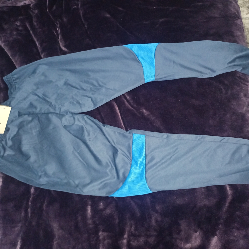 Nike Gray and Blue Athletic Pants